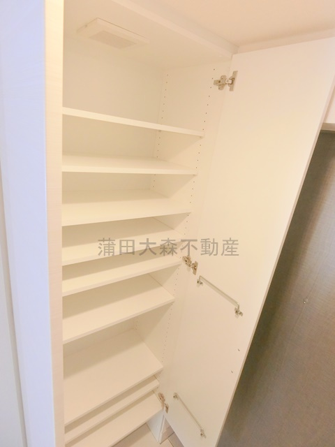 メインステージ大森町Ⅱの収納|シューズボックス