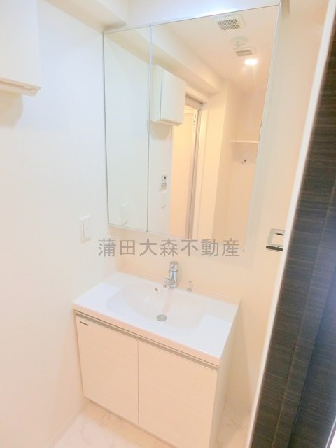 メインステージ大森町Ⅱの洗面所