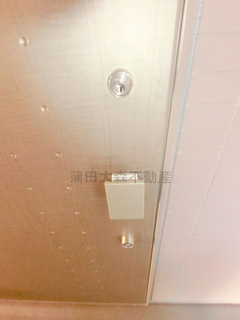 メインステージ大森町Ⅱの玄関