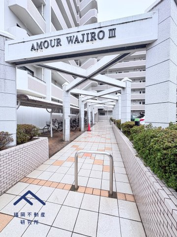 アムール和白Ⅲ