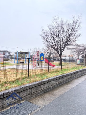 アムール和白Ⅲの周辺