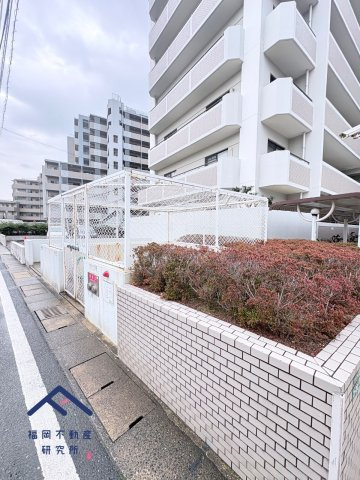 アムール和白Ⅲのその他