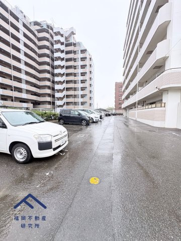 アムール和白Ⅲのその他