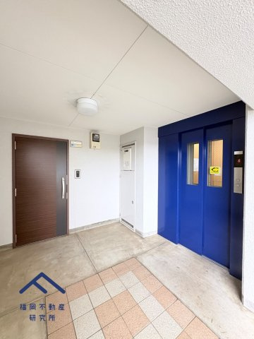 アムール和白Ⅲのその他