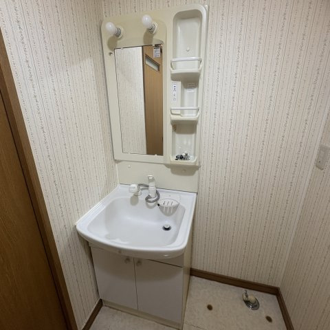 メゾンビエンドの洗面所