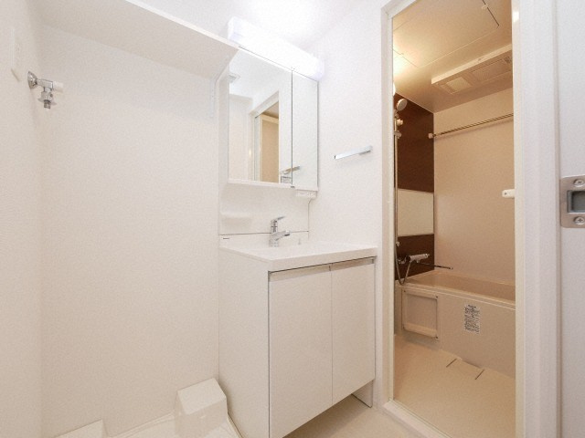 レオンコンフォート難波西Ⅲの洗面所