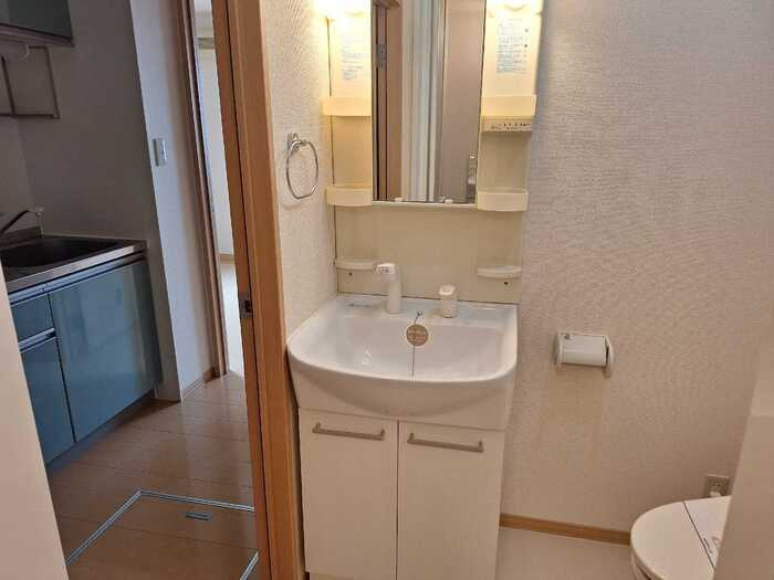 セジュール・レーベンの洗面所