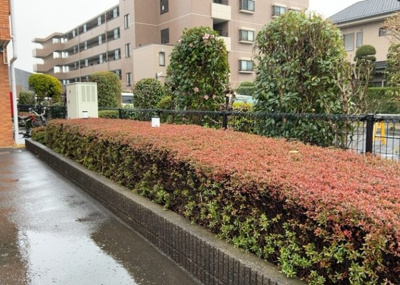 【庭】 | セントレー南町田 | 物件によっては、入居者が個人的に使用できる専用庭がついているものもあります。また、住宅の中にある土間の部分を庭と呼ぶこともあります。庭の用途は住む人によって変わり、それによってデザインもさまざまです。