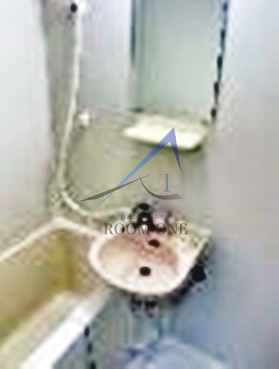 ロアール小石川植物園の洗面所|洗面台です。