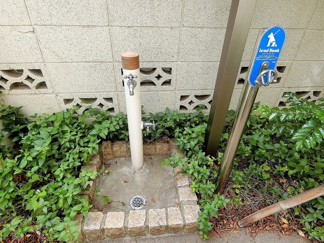 ＶＩＬＬＡ　ＦＥＬＩＣＥのその他共用部分|★ペット足洗い場★