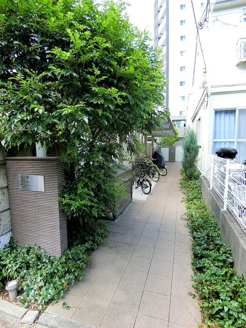 ＶＩＬＬＡ　ＦＥＬＩＣＥのエントランス|★緑の多いエントランス★