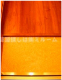 アーバンプレイス神楽坂Ⅱの玄関|きれいな玄関です（同一仕様写真）