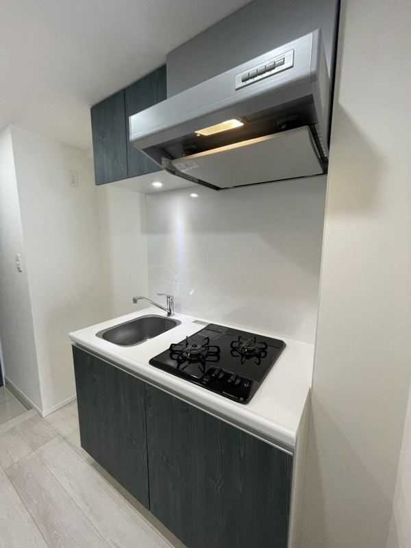 エストゥルース両国のキッチン