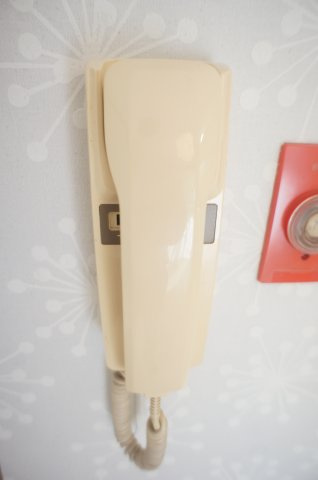 【セキュリティ】 | ハイツエバグリーン津田沼2号棟 | インターホンで会話が出来ます