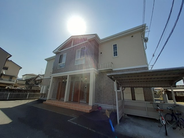 マンダリーナＴ・２　Ｃ