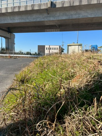 知立市八橋町山田谷のその他