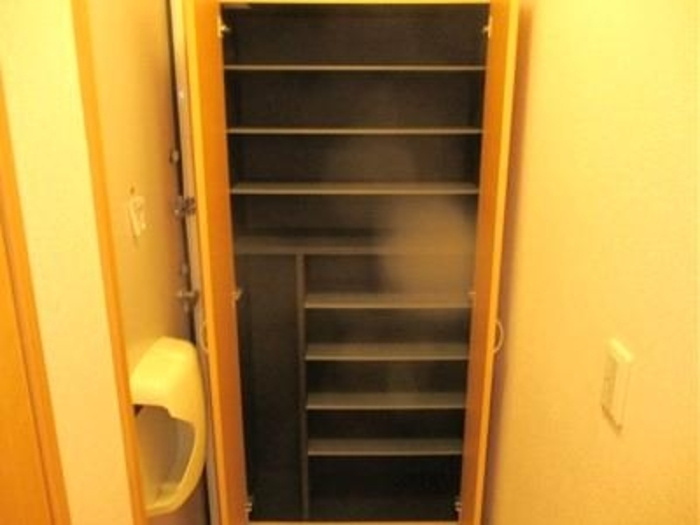 Carinopenseeの収納