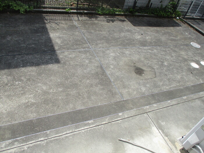 Carinopenseeのバルコニー