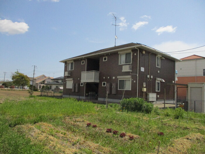 Carinopenseeの外観