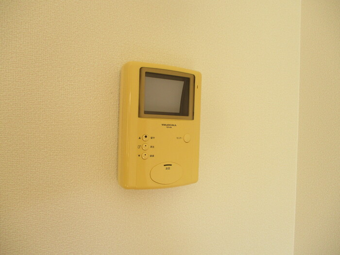 Carinopenseeのセキュリティ