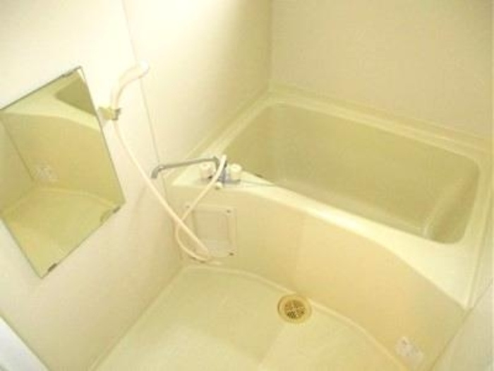 Carinopenseeの浴室