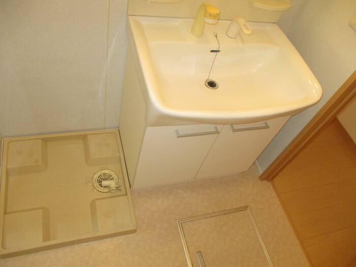 Carinopenseeの設備