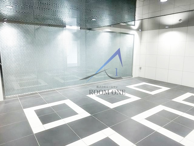 GENOVIA練馬高野台skyrunのエントランス|エントランスです。