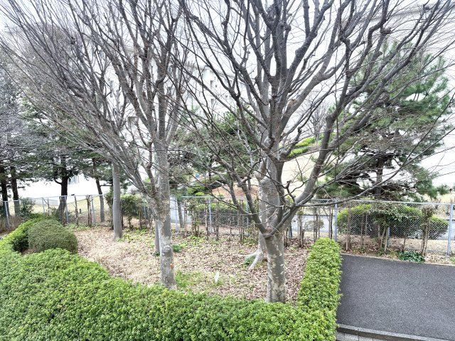 ドルフ青葉台３号棟の展望|LDK窓からの眺望