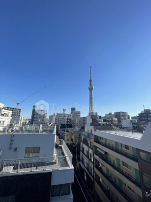 【展望】 | ステージグランデ向島