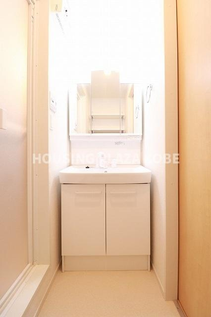 メゾン・ド・カルムⅣの洗面所