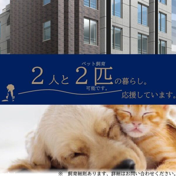 quador noie 池下の玄関