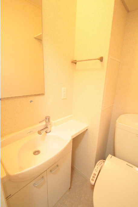 ウエストヒル氷川台3の洗面所