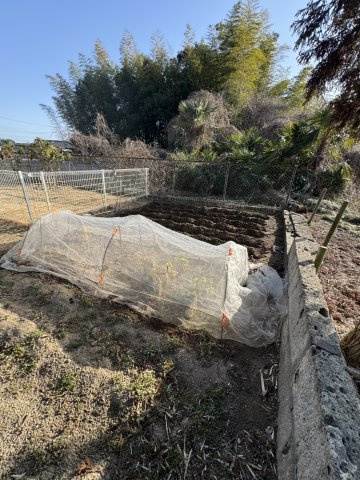 宇都宮市鐺山町969-6の庭