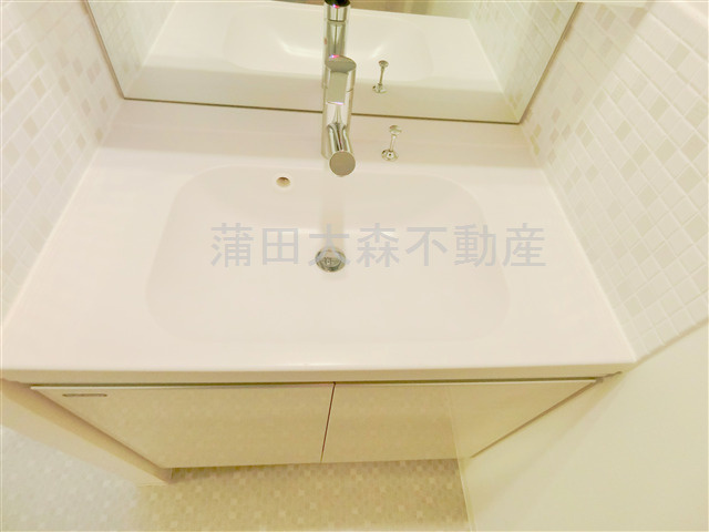 ステージグランデ多摩川の洗面所