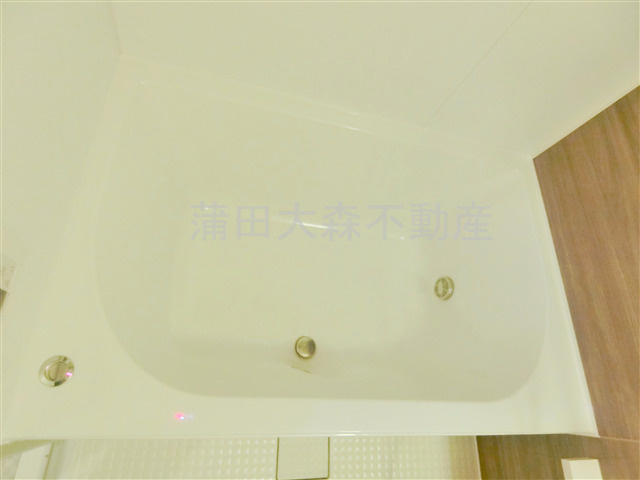 ステージグランデ多摩川の浴室