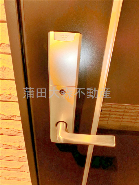 ステージグランデ多摩川の玄関