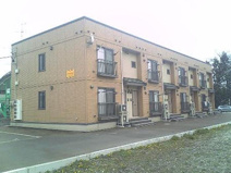 パーシモンツリーの画像