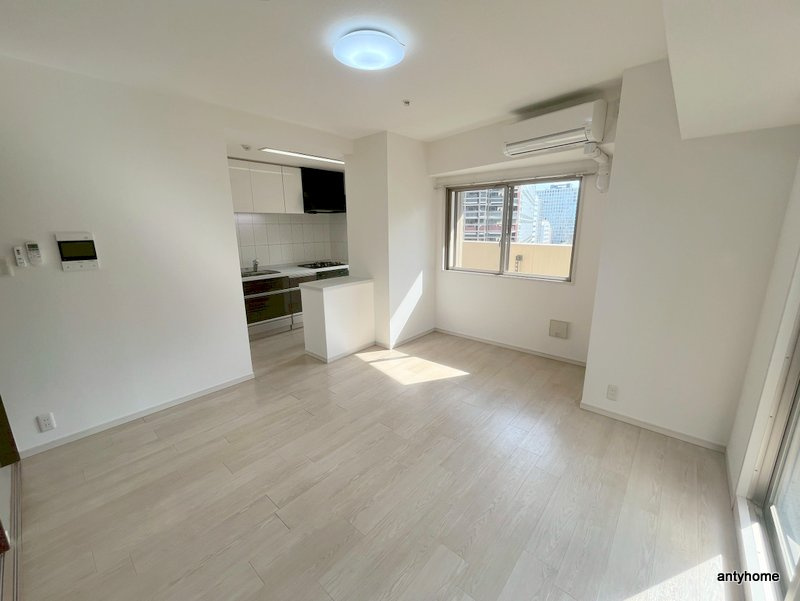 カスタリアタワー肥後橋　仲介手数料無料の居間・リビング