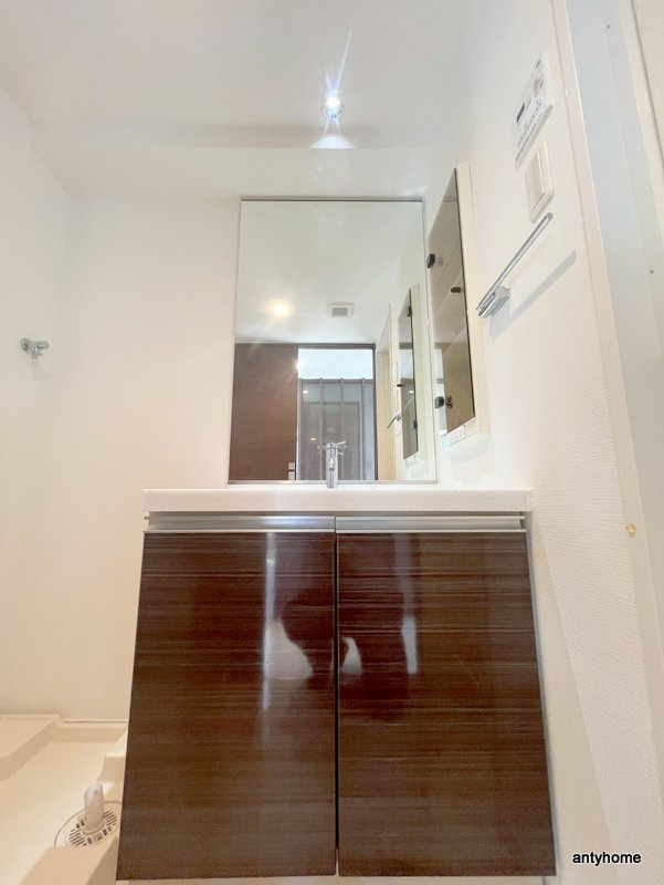 カスタリアタワー肥後橋　仲介手数料無料の洗面所