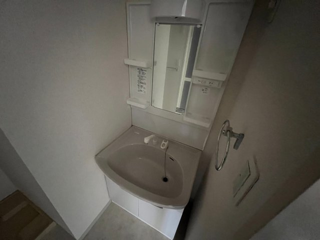 エターナル緑丘の洗面所