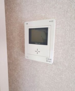 コリーナのセキュリティ