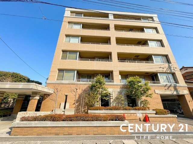 小田急コアロード向ヶ丘遊園の画像