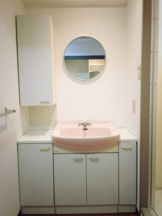 ロールベール別府の洗面所