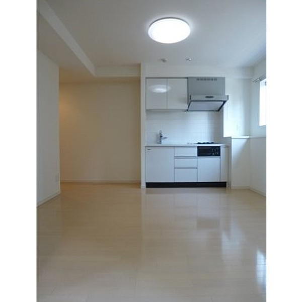 グラントゥルース東向島の居間・リビング