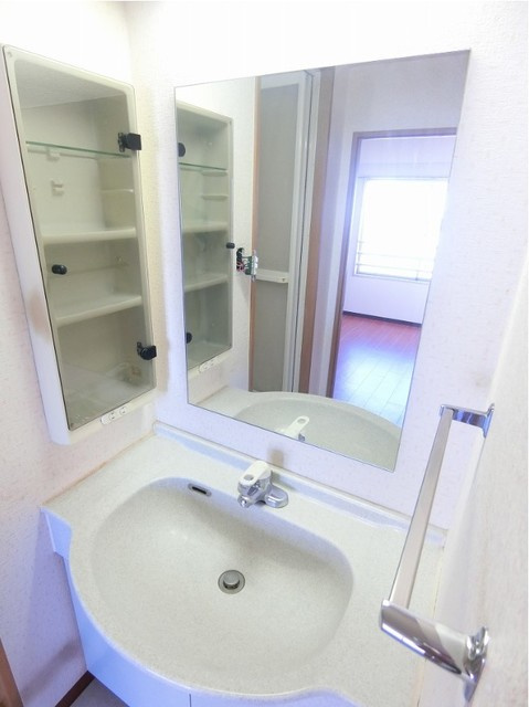 メゾン・ド・ヴィレ日本橋茅場町の洗面所