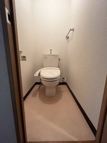 M・NOZOMIのトイレ