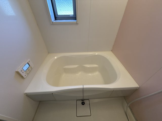 プロヌーブ砥堀の浴室