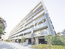 グランド・ガーラ大島の画像