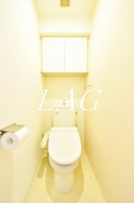 【トイレ】 | メインステージ錦糸町Ⅶラピス | トイレです。