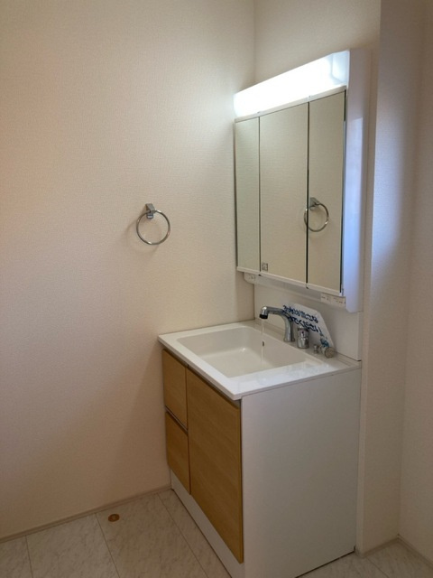 下野市小金井5丁目　新築戸建5-1の独立洗面台